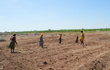 Kenyan-women-in-the-fields