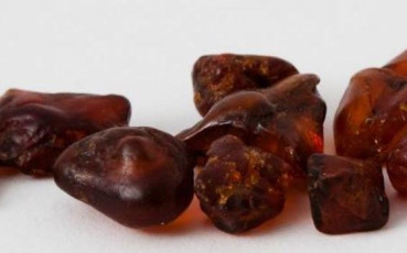 Amber | Sachalin amber | Picture by Amber gallery | Pinterest